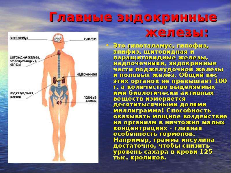 Железы и гормоны презентация