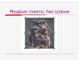 Мудрые советы Лао Цзюня