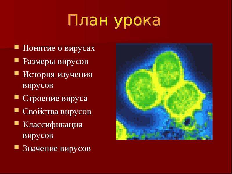 Презентация на тему вирусы 7 класс биология