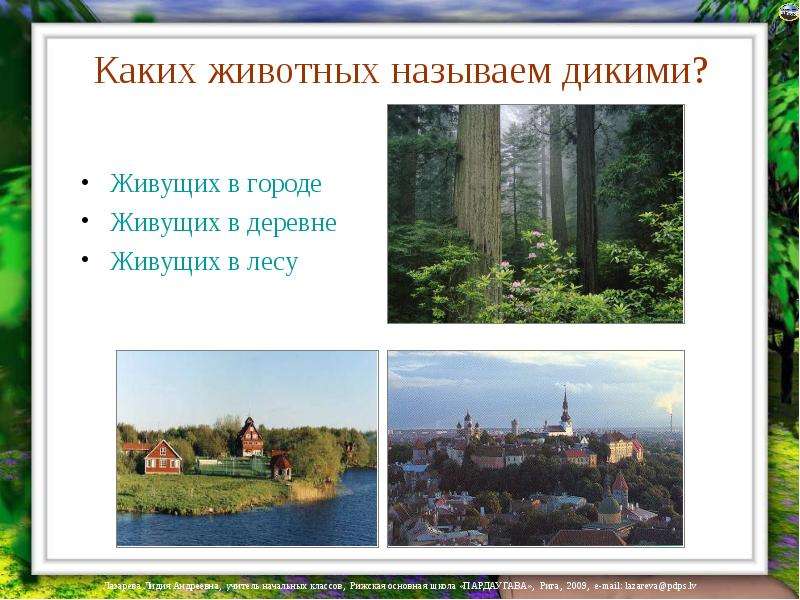 В каком городе жил. Какое искусство называют диким. Каких людей называют дикими. Как живут животные в городе и как живут в деревне сочинение.