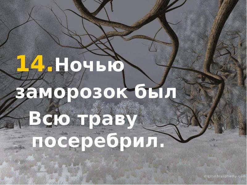 Зачем садовод при первых ночных заморозках поджигает. Ночью был заморозок.