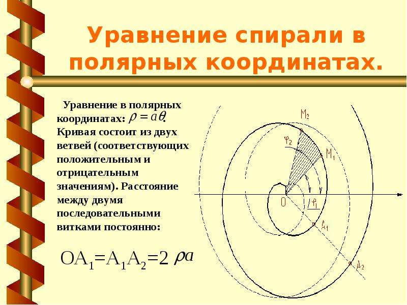 Замечательные математические кривые розы и спирали проект