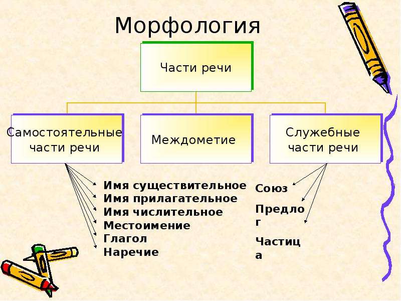 Морфология повторение 7 класс презентация