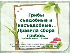 Грибы съедобные и несъедобные. Правила сбора