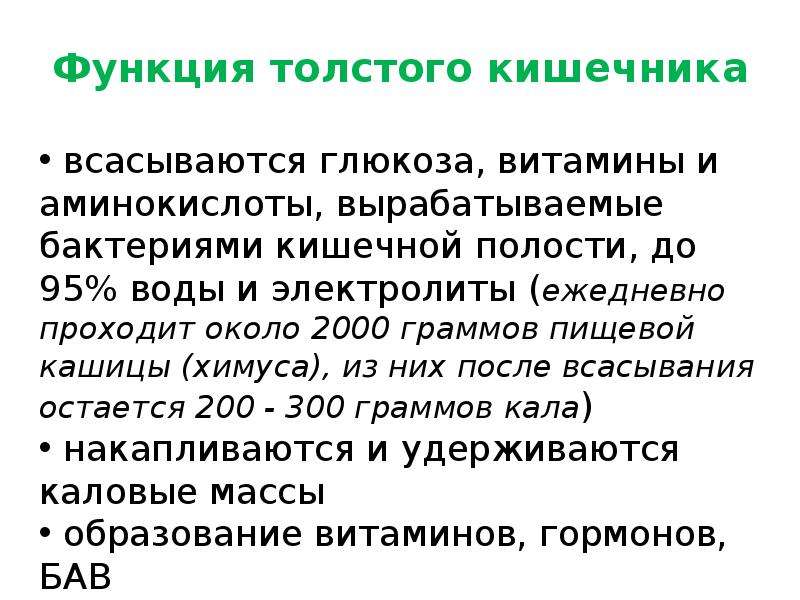 Образование массы. Физиология Толстого кишечника. Функции Толстого кишечника физиология. Физиология Толстого кишечника человека. Образование витаминов в толстом кишечнике.