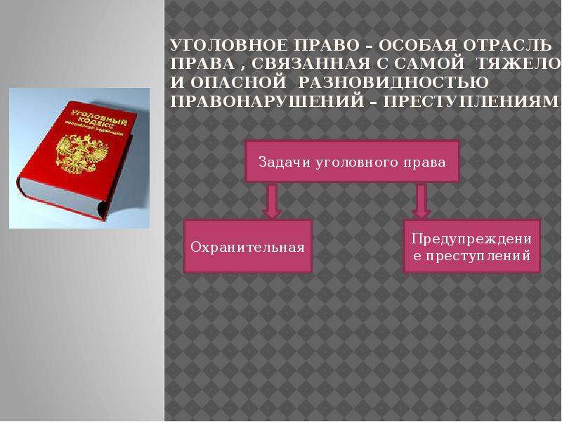 План уголовное право как отрасль российского права