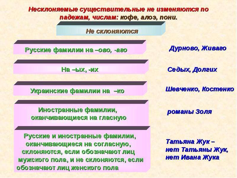 Несклоняемые имена существительные. Имя существительное 10 класс презентация. Число имён существительных 10 класс. Несклоняемые существительные не изменяются по падежам. Существительное 10 класс презентация.