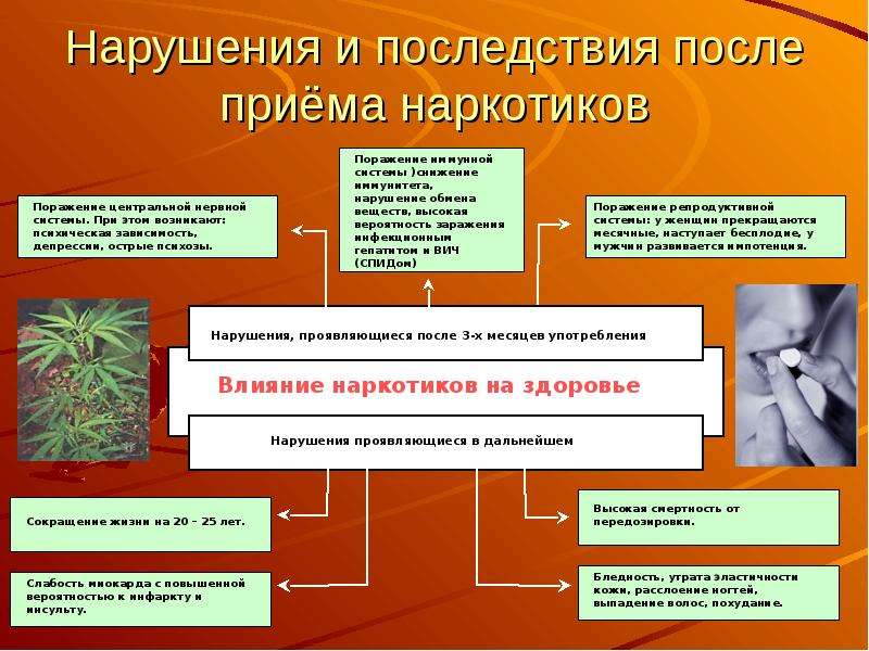 Вредные привычки презентация по биологии 8 класс