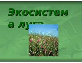 Экосистема луга (3 класс)