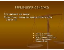 Животное, которое мне хотелось бы завести