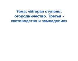 Вторая ступень: огородничество. Третья - скотоводство и земледелие