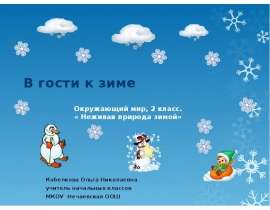В гости к зиме