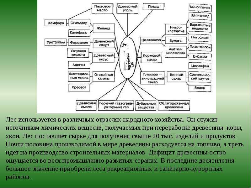 Презентация на тему современное состояние и охрана растительности