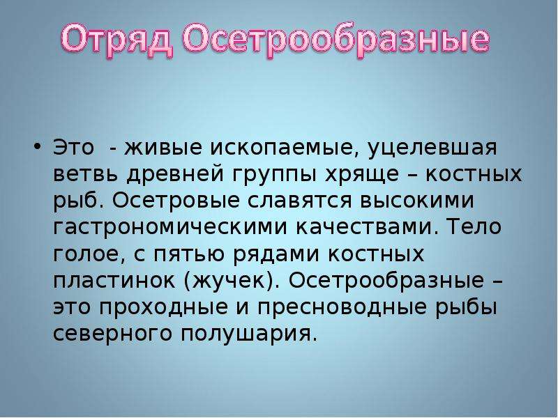 Живые ископаемые презентация