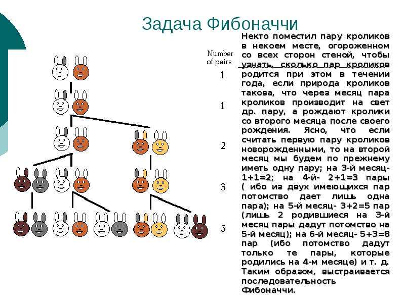 Что такое фибоначчи. Задача про кроликов Фибоначчи. Задачи на ряд Фибоначчи. Последовательность Фибоначчи кролики. Задачи на числа Фибоначчи.