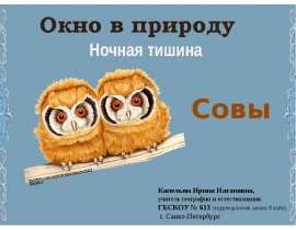 Совы