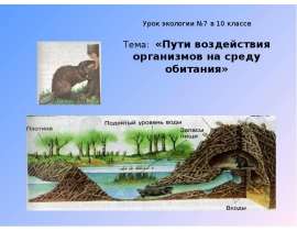 Пути воздействия организмов на среду обитания