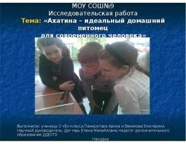 Ахатина – идеальный домашний питомец для современного человека