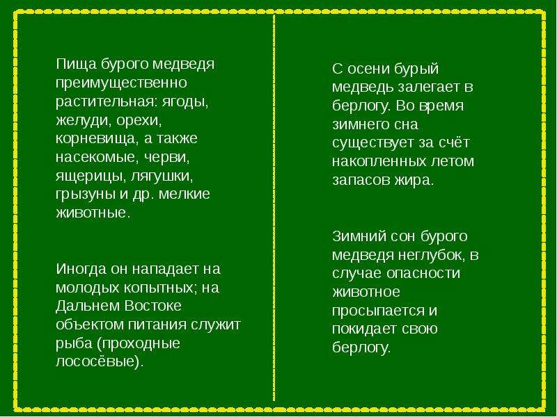 Презентация бурый медведь информатика 7 класс