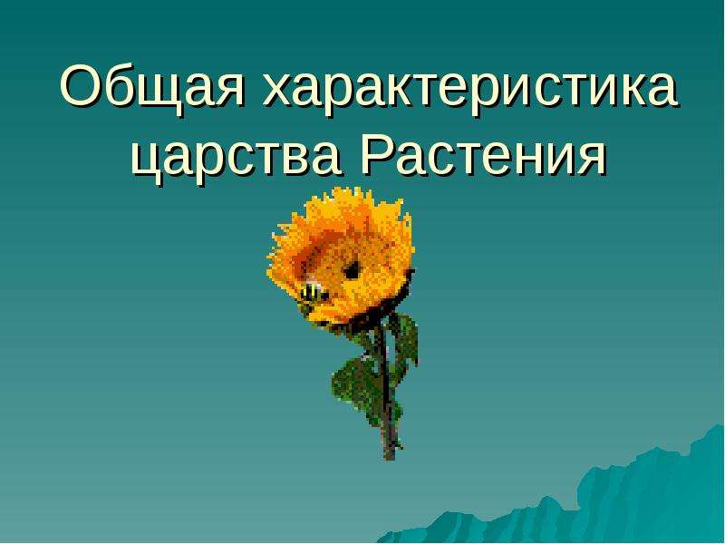 Презентация царство растений внешнее строение и общая характеристика растений