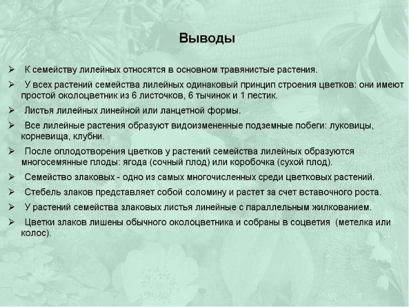 Класс однодольные семейство лилейные и злаки 6 класс презентация