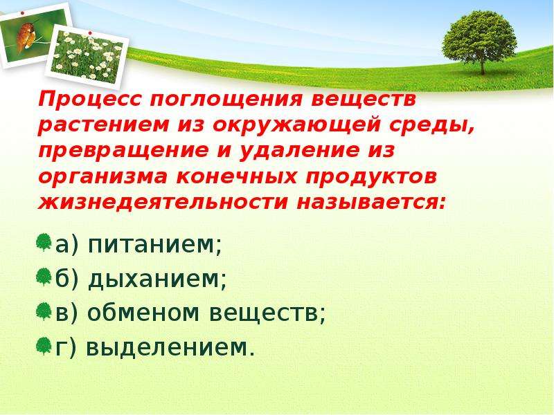 Что растение поглощает из окружающей среды. Что поглощают растения окружающей среды. Продукты жизнедеятельности растений. Продукты жизнедеятельности живых организмов называют веществом. Как доказать что растение живой организм.