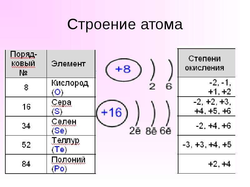 6 группа главная подгруппа презентация