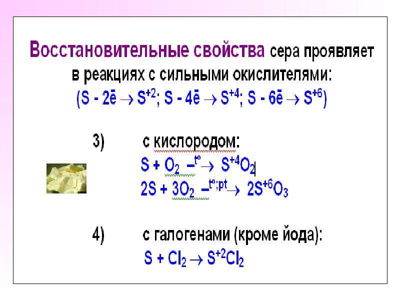 6 группа главная подгруппа презентация