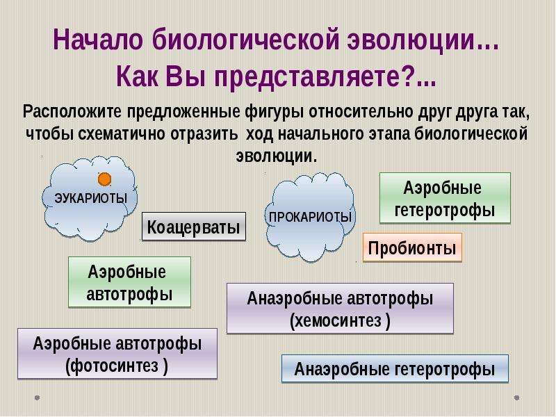 Протобионты. Начальные этапы биологической эволюции. Пробионты Эволюция. Формирование и Эволюция пробионтов. Эволюция протобионтов начальные этапы биологической эволюции.