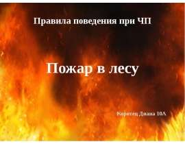 Пожар в лесу