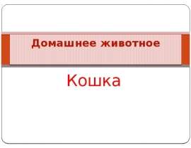 Домашнее животное "Кошка"