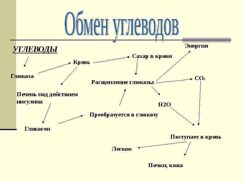 Схема обмен углеводов в организме