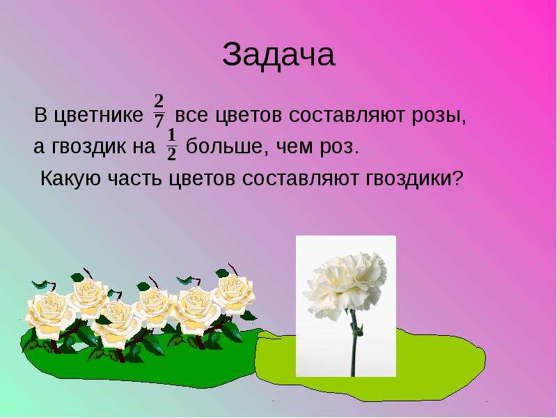 Задача про клумбу. Задачки про цветы. Задачки про цветы детям. Задача по математике 3 класс про розы и гвоздики.