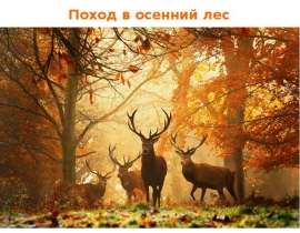 Поход в осенний лес