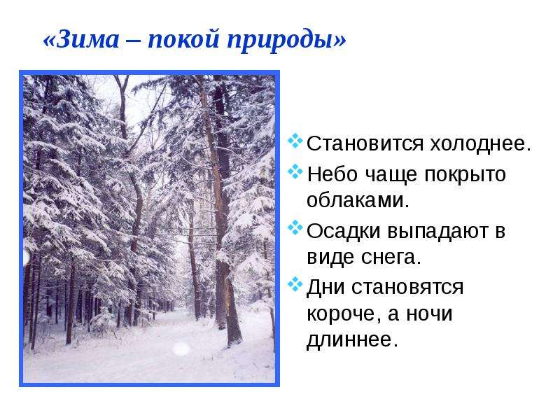 Презентации 2 класс зимние. Проект зима. Вывод о зиме. Презентация о зиме 4 класс. Виды снега презентация.