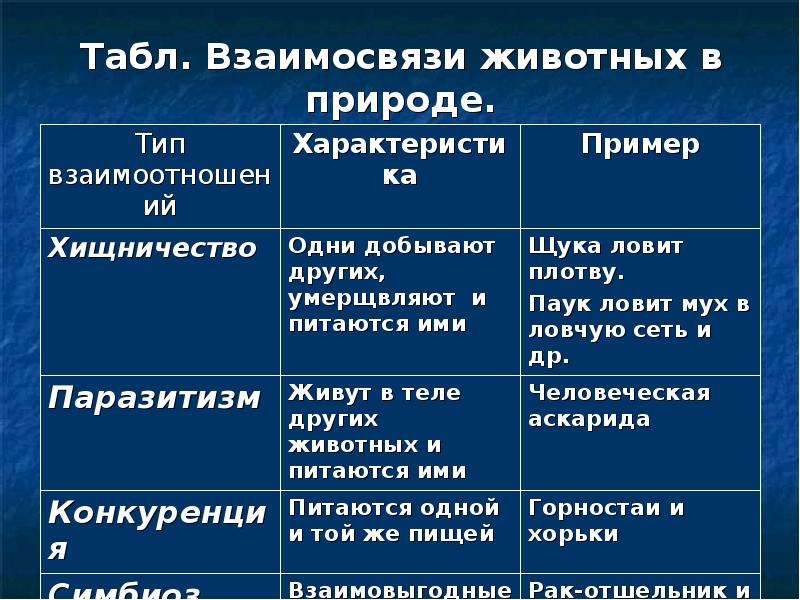 Виды взаимоотношения между животными. Типы взаимоотношений животных в природе. Взаимосвязи животных в природе. Типы взаимосвязи между животными. Таблица типы взаимоотношений животных.