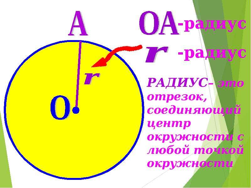 Круг математика 5 класс. Окружность для презентации. Презентация на тему окружность. Круги и окружности. Окружность и круг презентация.