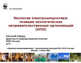 Экология электроэнергетики: позиция экологических неправительственных организаций (НПО)