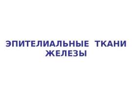 Эпителиальные ткани железы