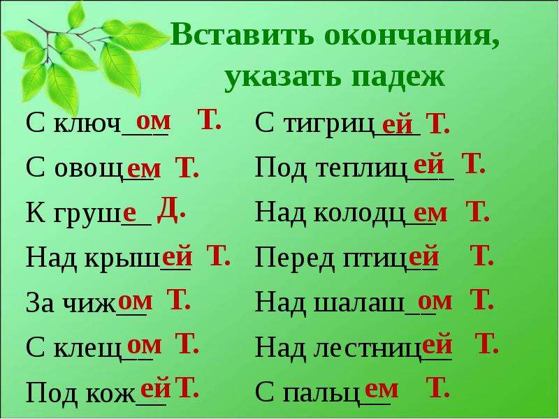 Диктант 4 падежные окончания. Правописание ом ем в окончаниях существительных. Существительное с окончанием ошь. Падежные окончания имен существительных тренажер. Окончание ем в существительных.