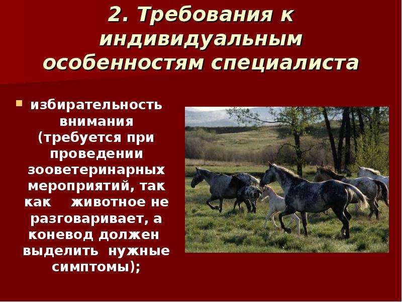 Коневод профессия. Профессия коневод для детей. Чем полезна профессия коневод. Сообщение про профессию коневод. Чем профессия коневод полезна обществу.