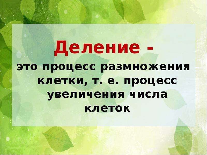 Жизнедеятельность клетки 5 класс. Размножение это процесс увеличения числа. Процесс увеличения числа клеток. Деление. Размножение это процесс увеличения числа клеток воспроизведение.