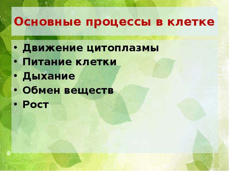 Жизнедеятельность клетки 5 класс фгос пасечник презентация