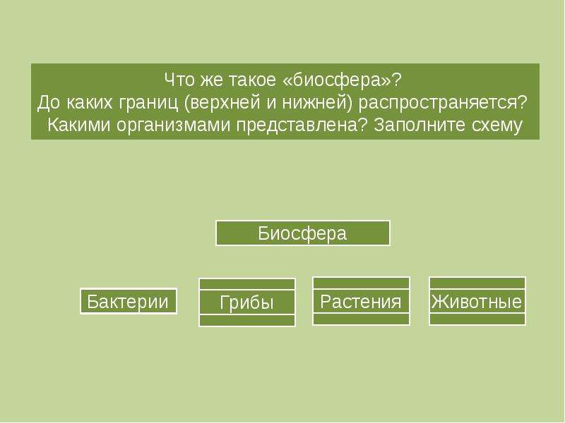 Разнообразие и распространение организмов на земле 6 класс презентация