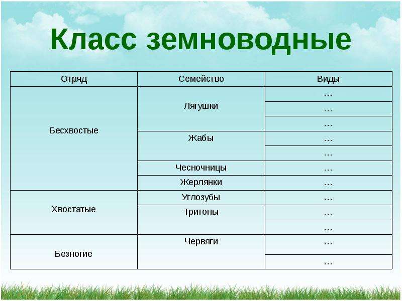 Заполните схему класс земноводные отряд признаки отряда