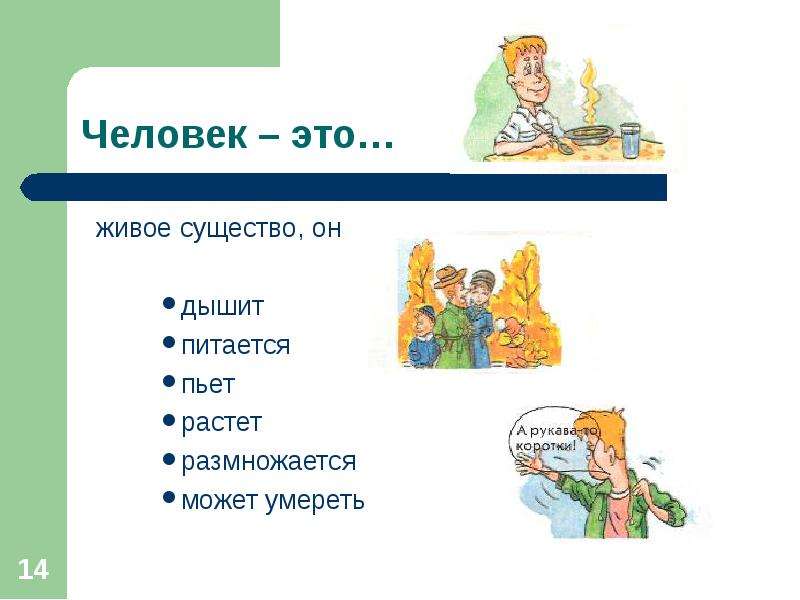 Мир людей окружающий мир 1 класс. Человек живое существо. Живые существа 1 класс окружающий. Человек- часть природы, разумное существо. Презентация. Человек разумное существо презентация.