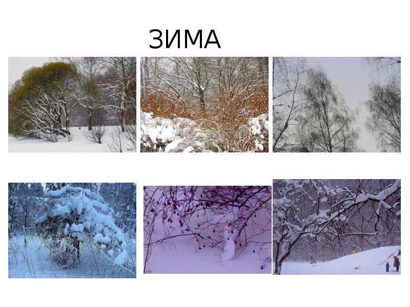 Проект любимое время года зима