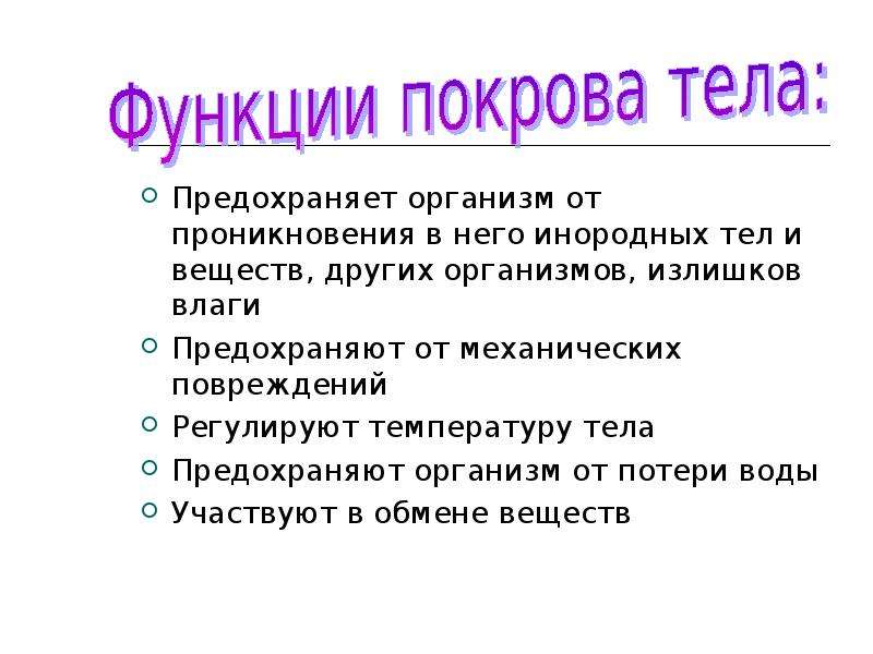 Покровы тела животных таблица 8 класс. Функции покровов тела. Какие функции выполняют покровы тела?. Функции покровов тела животных. Перечислите функции покровов тела.