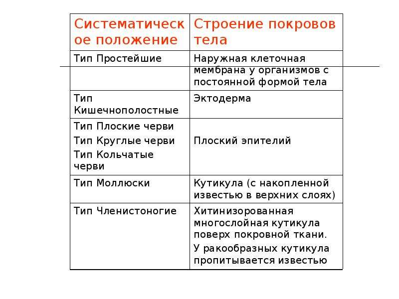 Покровы тела животных 8 класс биология. Систематическое положение строение покровов тела. Таблица по биологии 7 класс строение покровов тела. Таблица по биологии 7 класс покровы тела. Строение Покрова у типа простейшие.