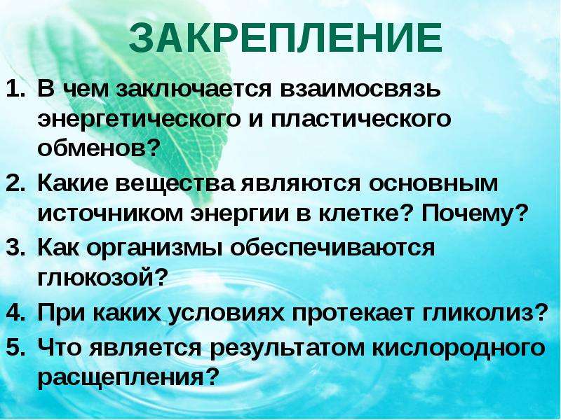 Почему клеточный обмен считается основным. Основной источник энергии в клетке. Какие вещества являются основным источником энергии в клетке?. Какие вещества являются основным источником энергии. Основными источниками энергии для клетки являются.